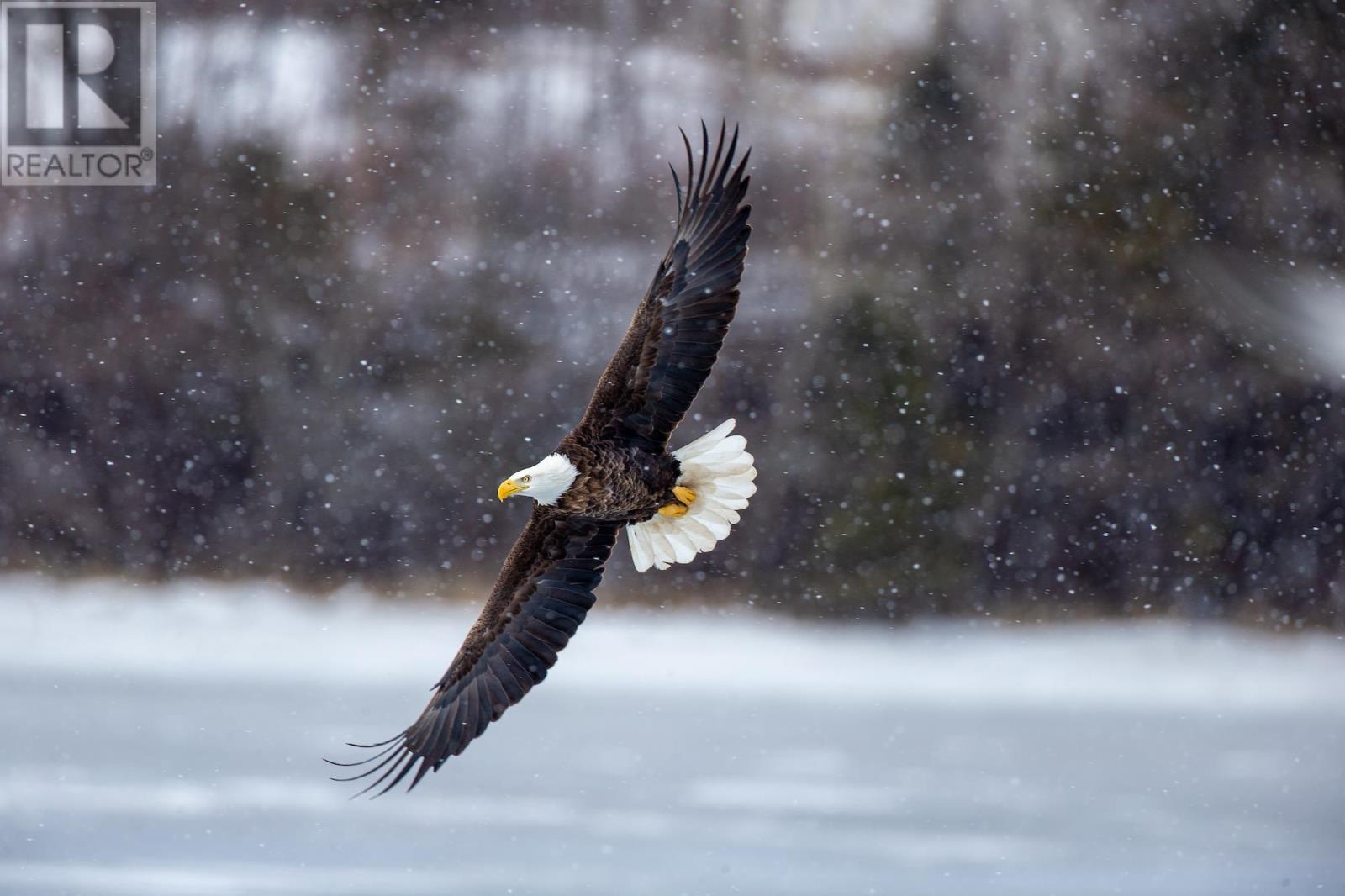 9 Osprey Lane, South Ingonish Harbour, Nova Scotia  B0C 3B3 - Photo 20 - 202601939