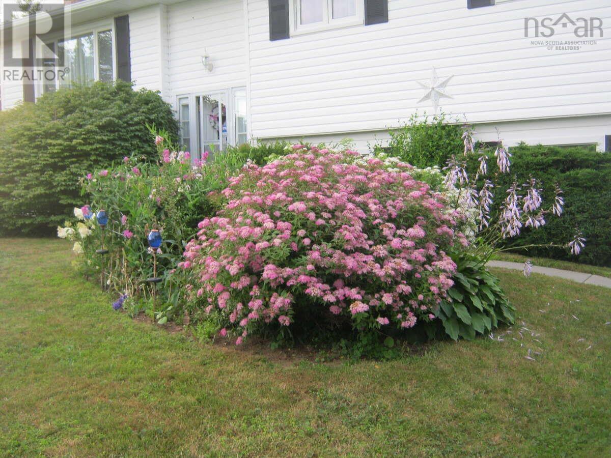 5 Melinda Avenue, East Lawrencetown, Nova Scotia  B2Z 1N8 - Photo 42 - 202601940