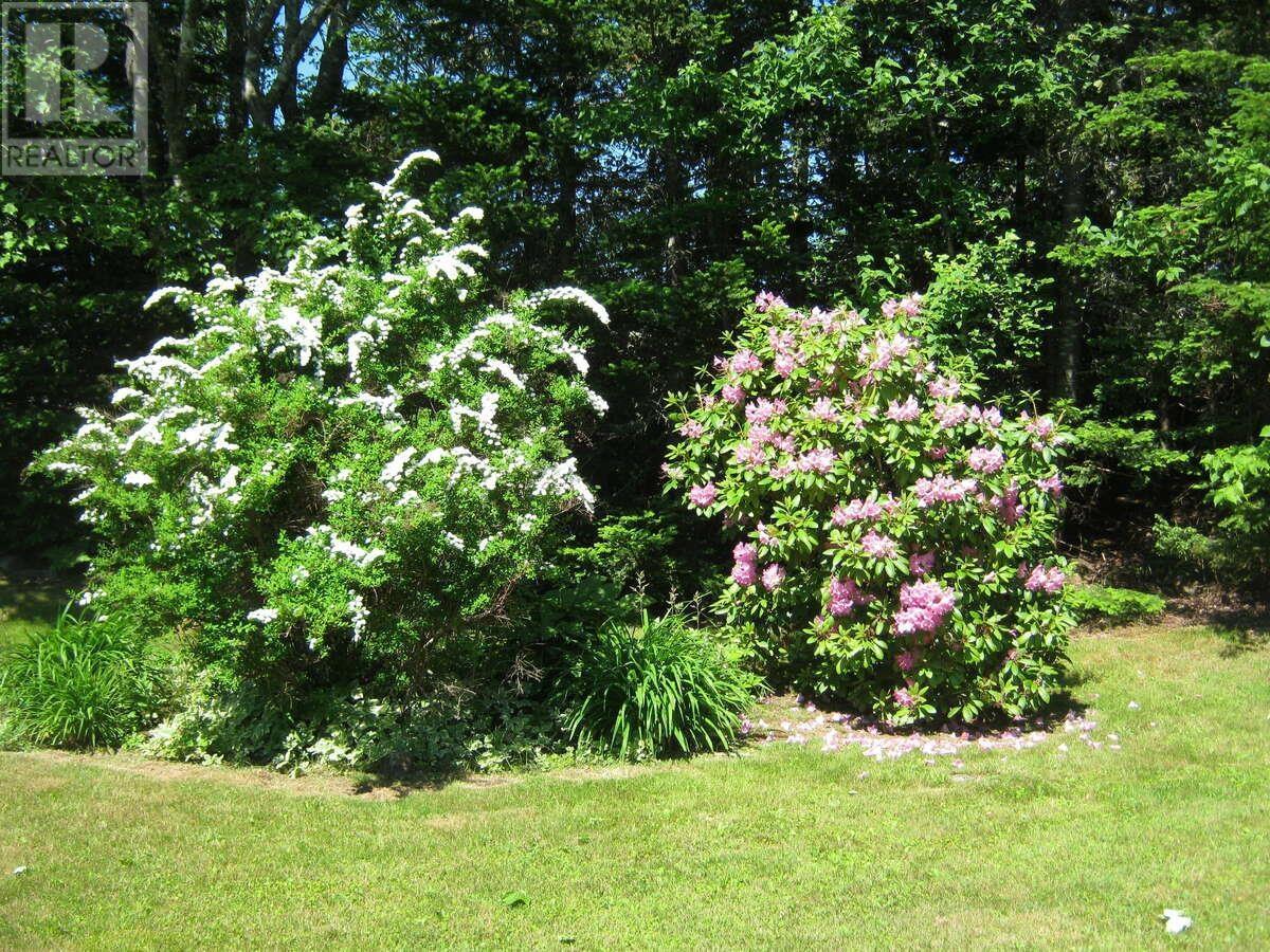 5 Melinda Avenue, East Lawrencetown, Nova Scotia  B2Z 1N8 - Photo 45 - 202601940