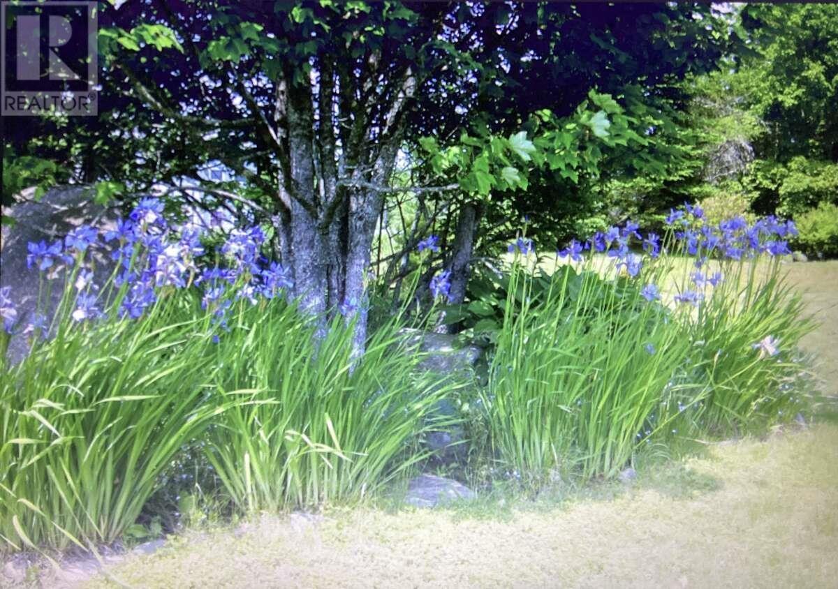 5 Melinda Avenue, East Lawrencetown, Nova Scotia  B2Z 1N8 - Photo 41 - 202601940