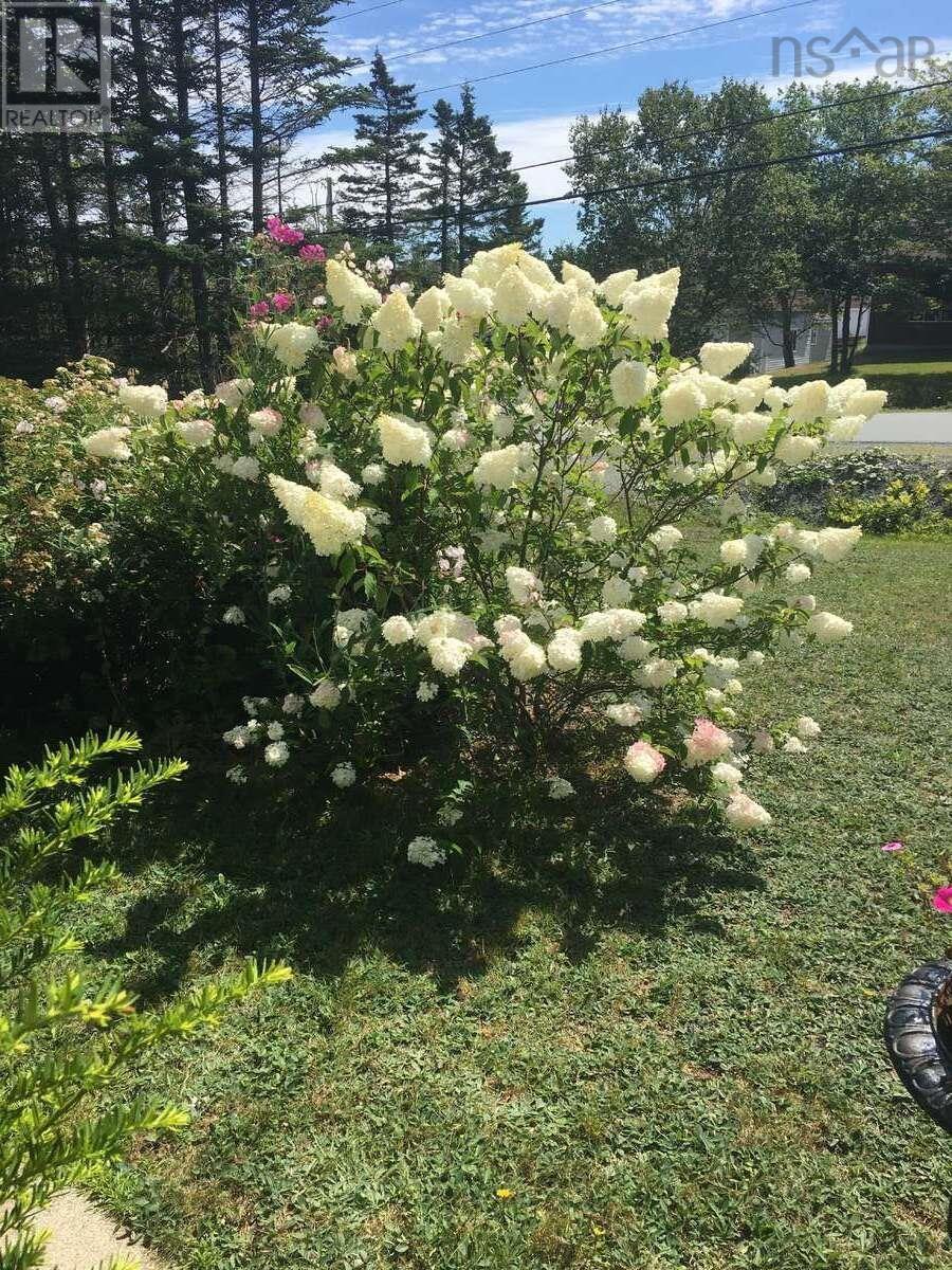 5 Melinda Avenue, East Lawrencetown, Nova Scotia  B2Z 1N8 - Photo 43 - 202601940