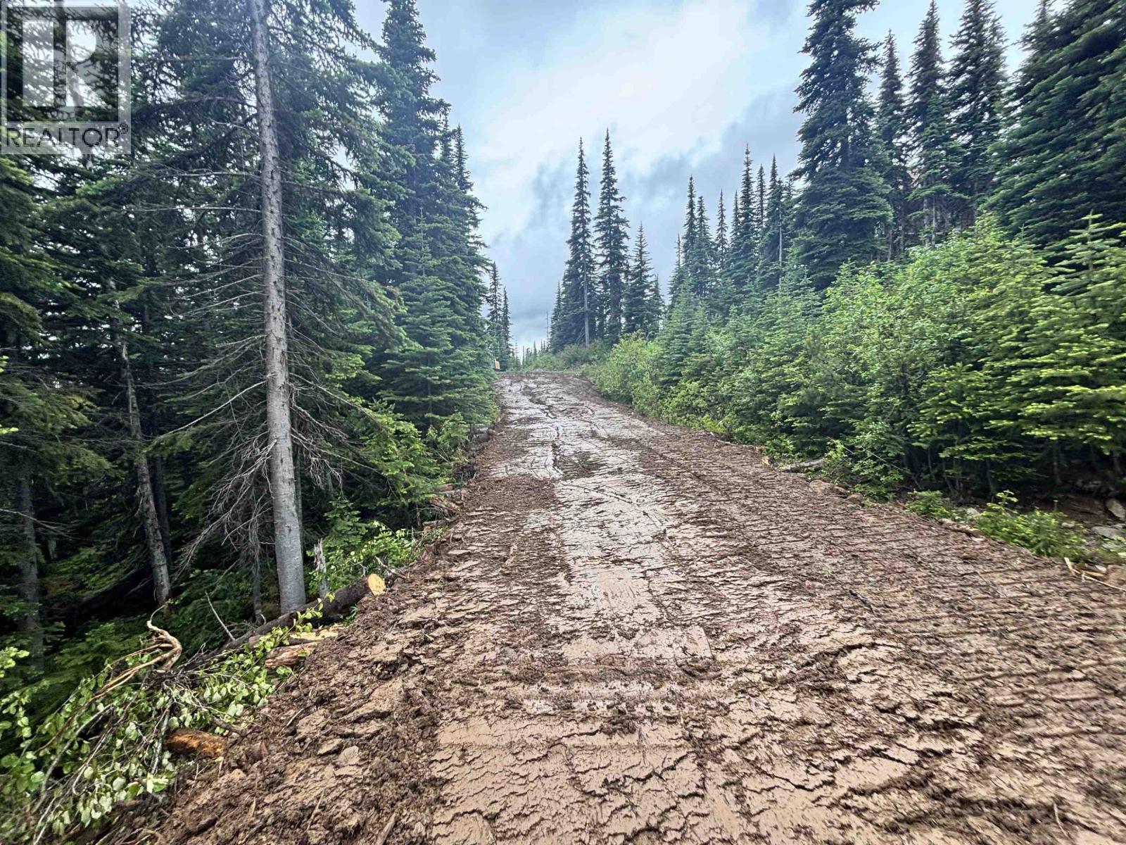 192 Alpine Way, Smithers, British Columbia  V0J 2N0 - Photo 3 - R3085512