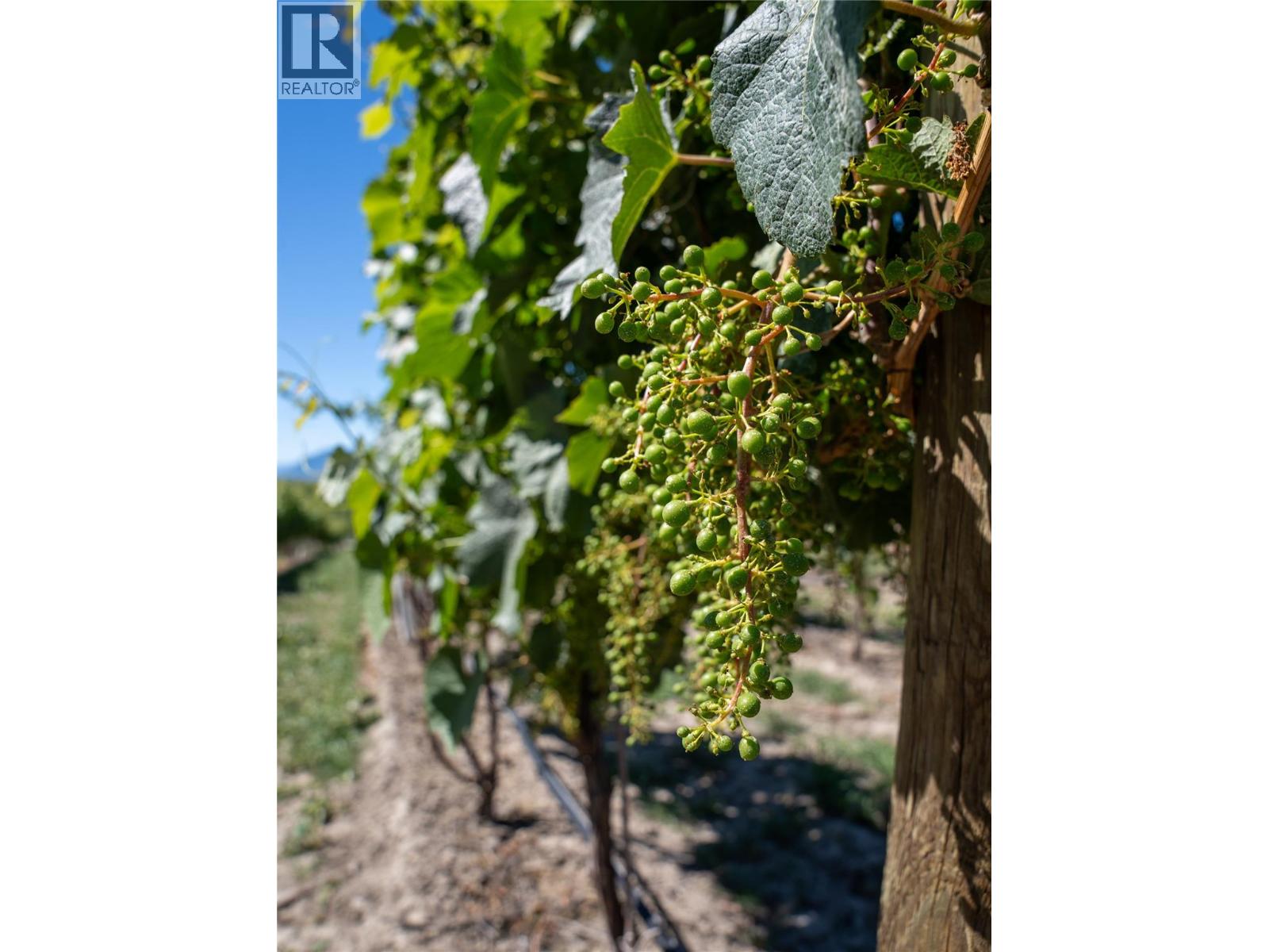 2805 Aikins Loop, Naramata, British Columbia  V0H 1N1 - Photo 89 - 10365334