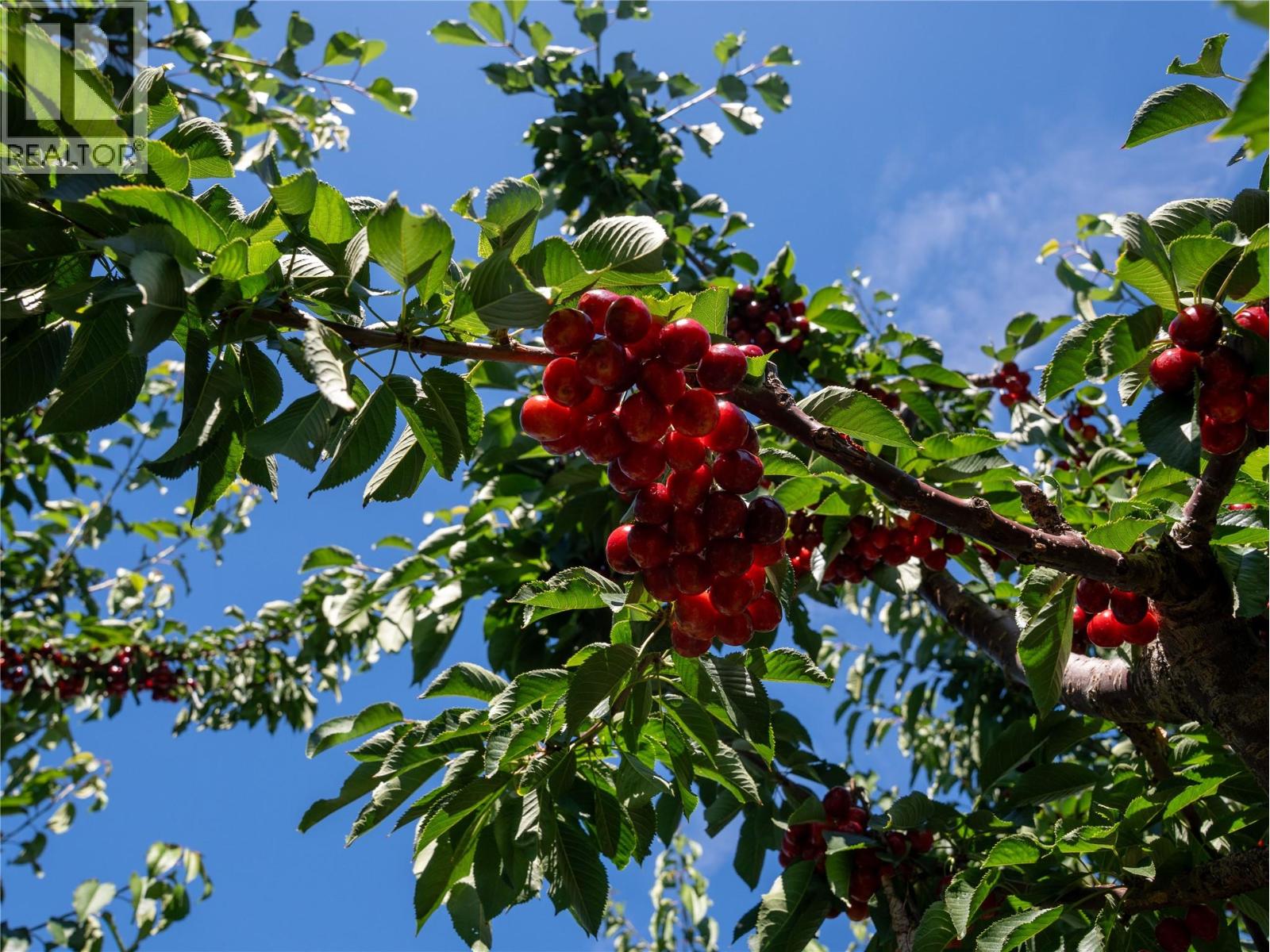 2805 Aikins Loop, Naramata, British Columbia  V0H 1N1 - Photo 92 - 10365334