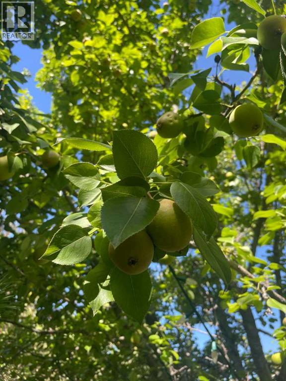 7 Mountain Park Circle Se, Calgary, Alberta  T2Z 2B8 - Photo 6 - A2282437