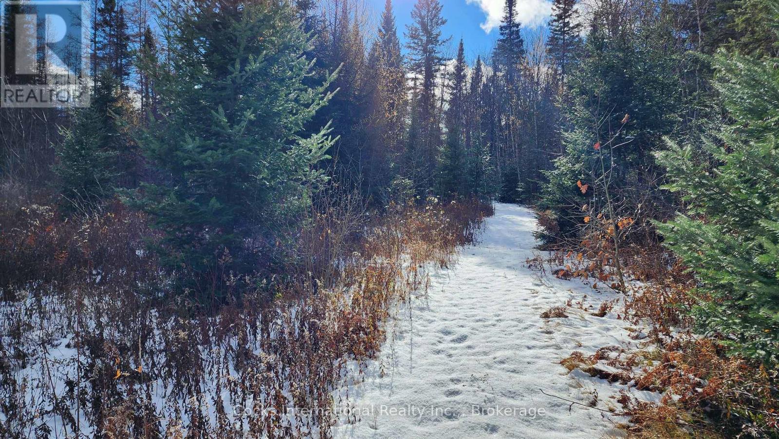 44 Expressway Road, Perry, Ontario  P0A 1J0 - Photo 28 - X12548048