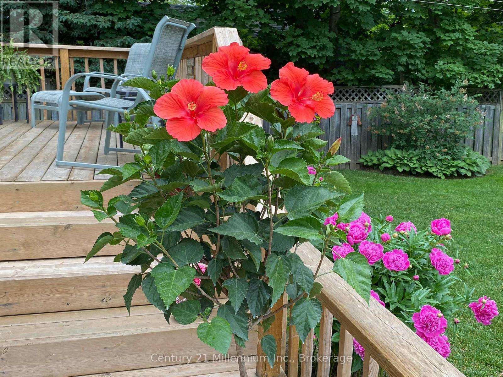 330 1st Street W, Owen Sound, Ontario  N4K 6R4 - Photo 35 - X12724364