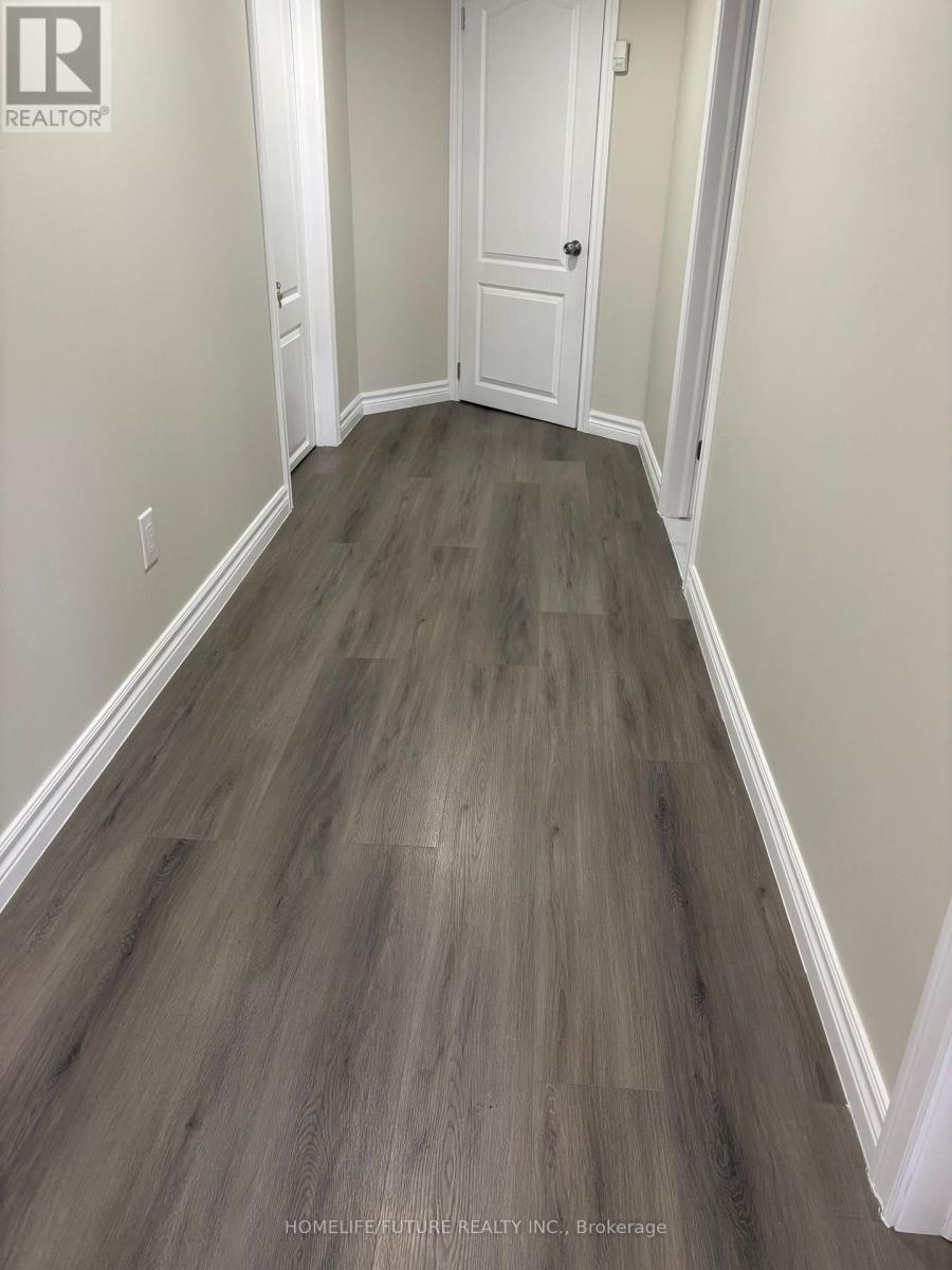 Bsmt - 41 Martini Drive, Richmond Hill, Ontario  L4S 2H5 - Photo 12 - N12750304