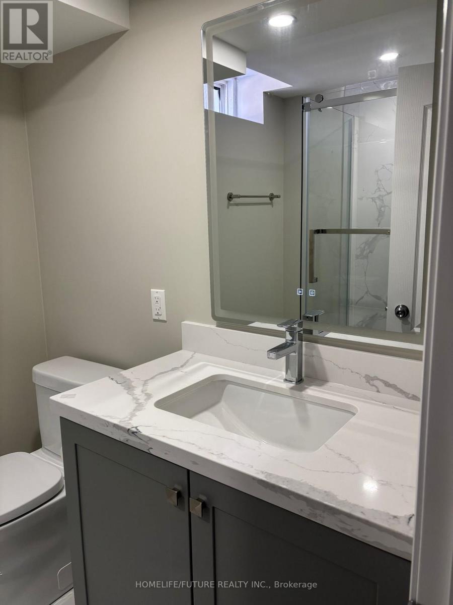 Bsmt - 41 Martini Drive, Richmond Hill, Ontario  L4S 2H5 - Photo 13 - N12750304