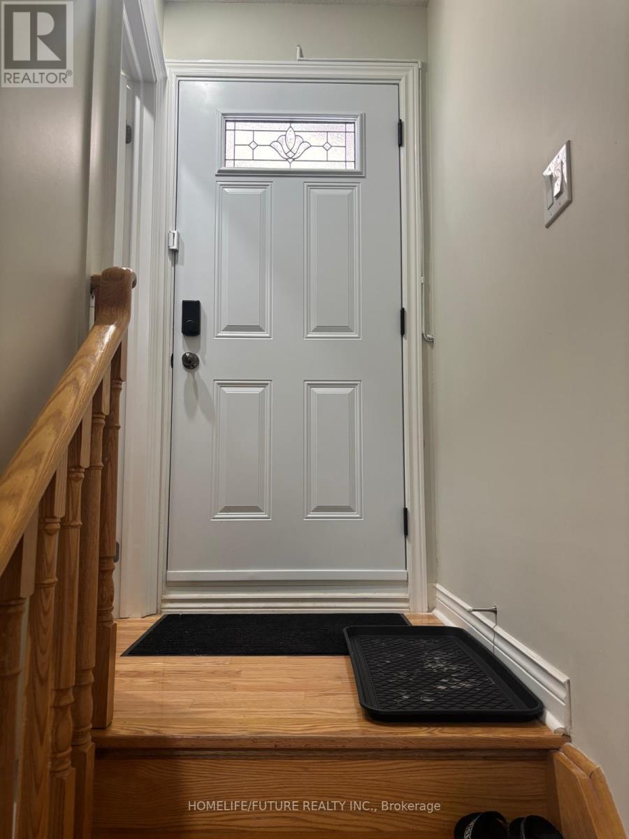 Bsmt - 41 Martini Drive, Richmond Hill, Ontario  L4S 2H5 - Photo 3 - N12750304