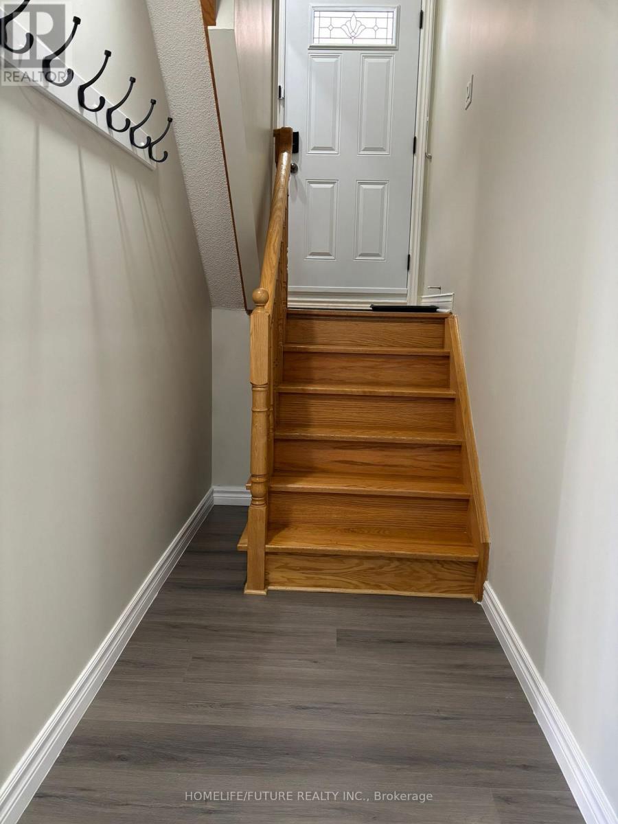 Bsmt - 41 Martini Drive, Richmond Hill, Ontario  L4S 2H5 - Photo 4 - N12750304