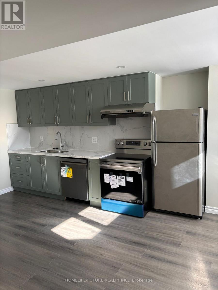 Bsmt - 41 Martini Drive, Richmond Hill, Ontario  L4S 2H5 - Photo 7 - N12750304