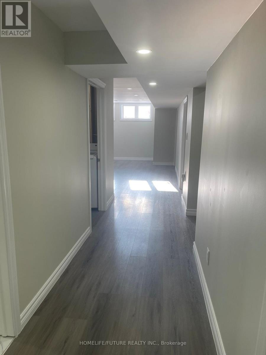 Bsmt - 41 Martini Drive, Richmond Hill, Ontario  L4S 2H5 - Photo 9 - N12750304