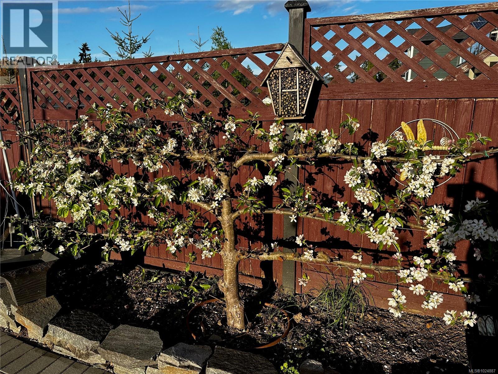 1631 Rondeault Rd, Cowichan Bay, British Columbia  V0R 1N1 - Photo 42 - 1024887