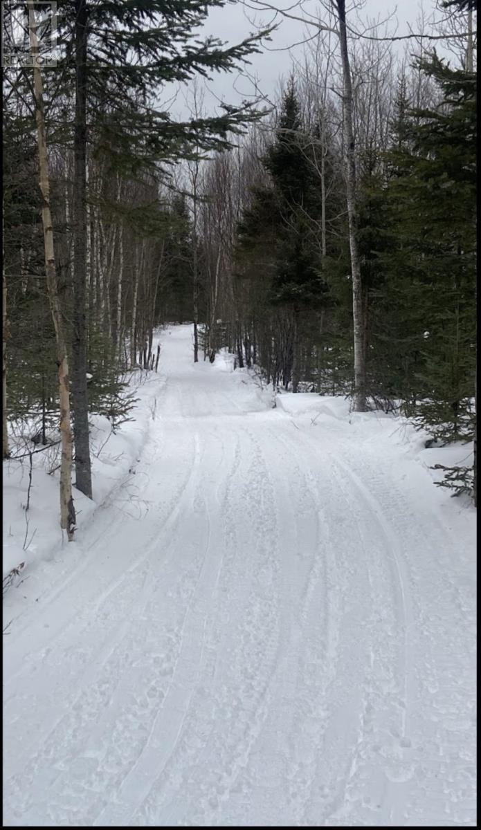 10 Eastgrove Ct, Terrace Bay, Ontario  P0T 2W0 - Photo 34 - TB2600075