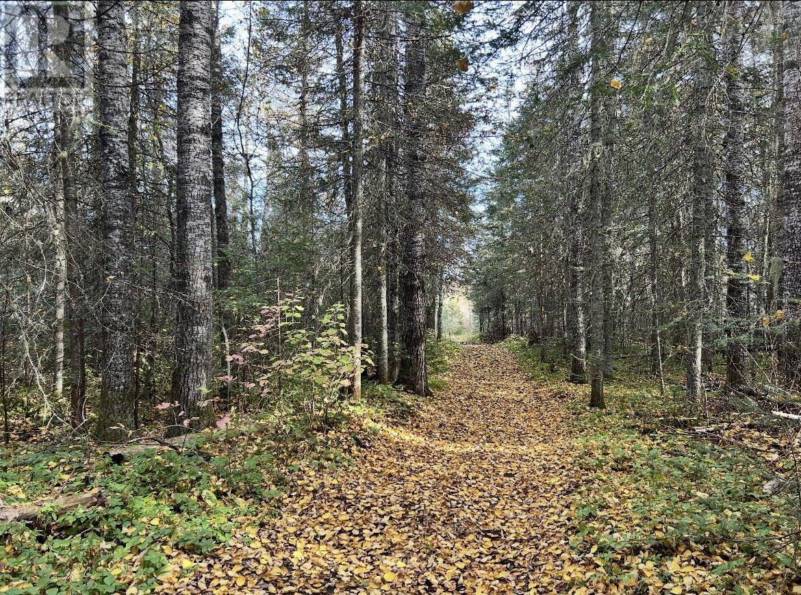 10 Eastgrove Ct, Terrace Bay, Ontario  P0T 2W0 - Photo 38 - TB2600075