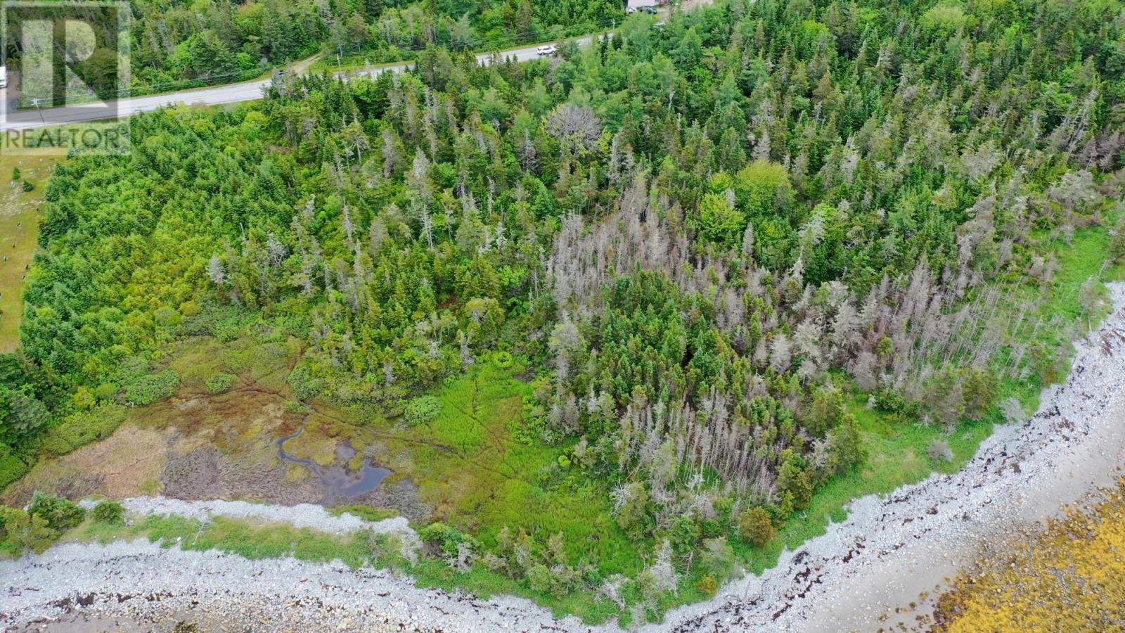 Shore Road, North East Harbour, Nova Scotia  B0T 1W0 - Photo 36 - 202600650