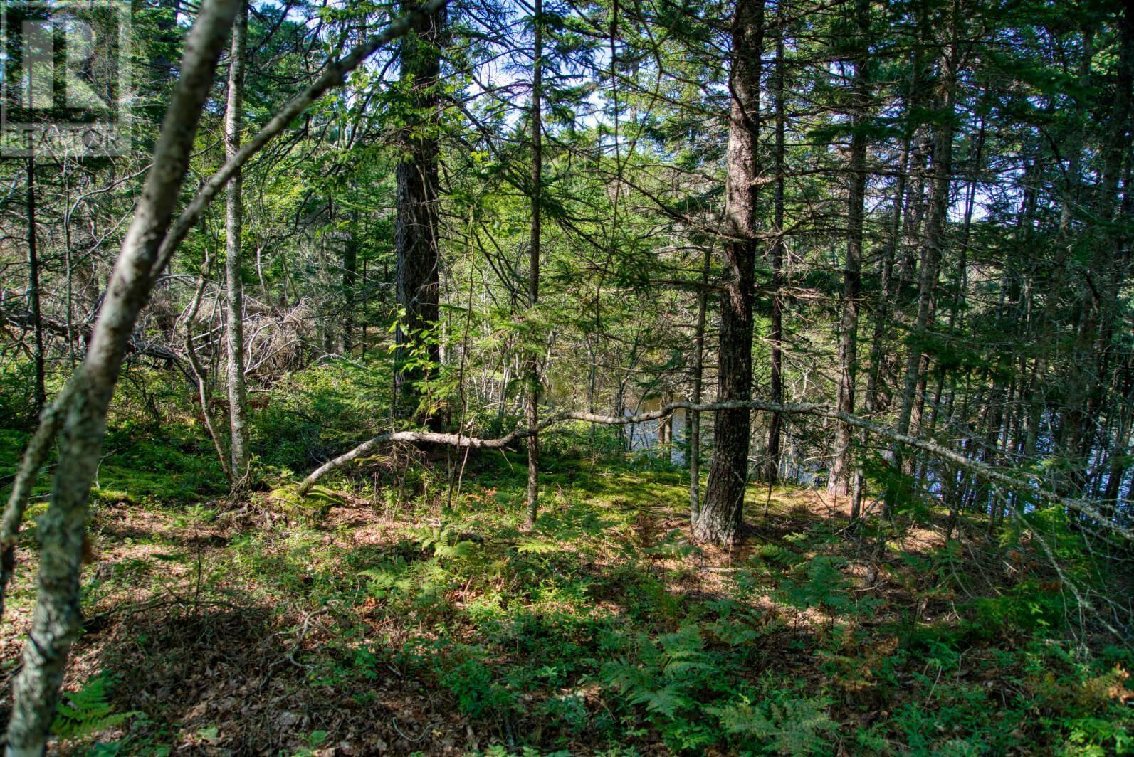 Lot 5 Cooks Brook, Bayport, Nova Scotia  B0J 2C0 - Photo 23 - 202601189