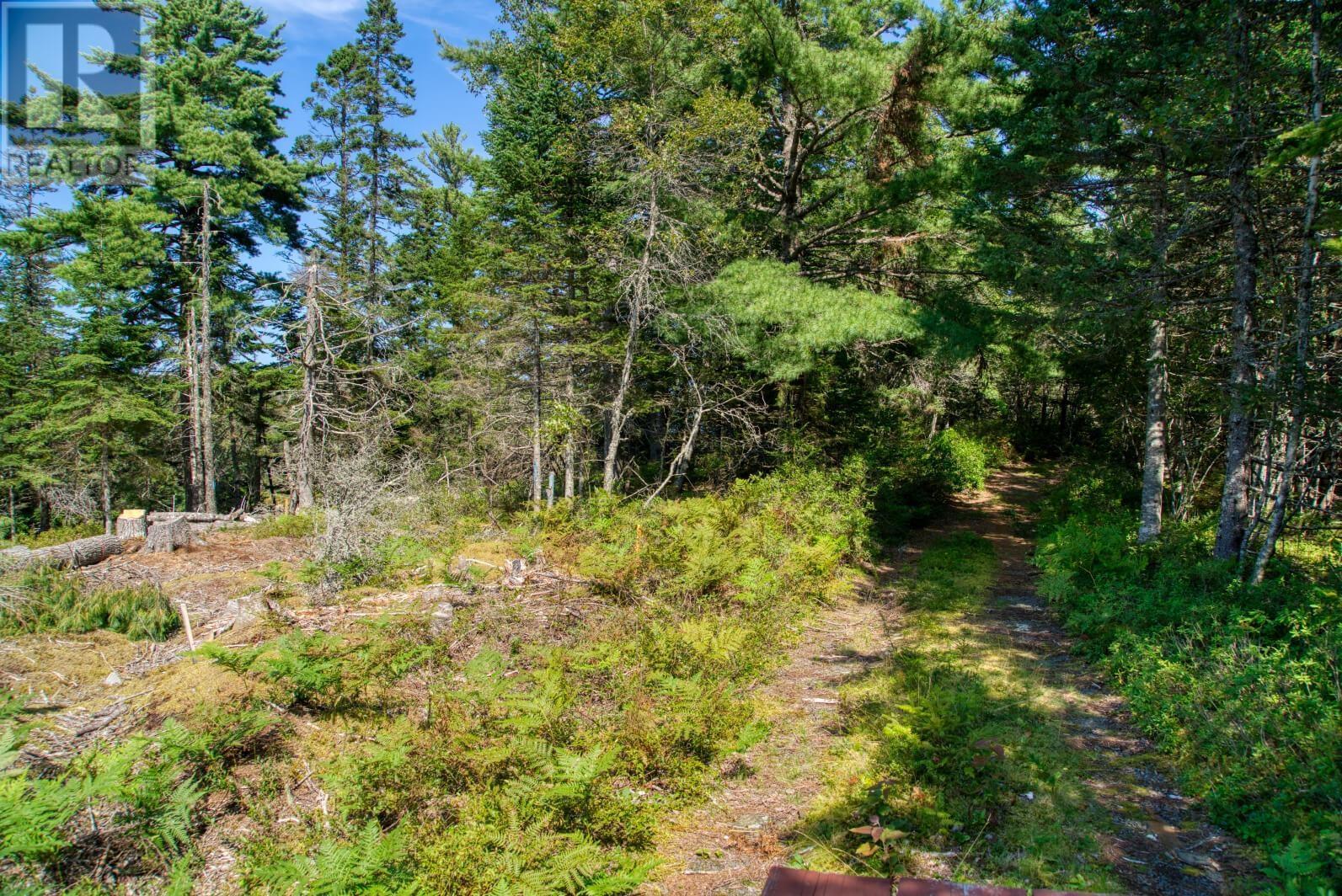 Lot 5 Cooks Brook, Bayport, Nova Scotia  B0J 2C0 - Photo 19 - 202601189