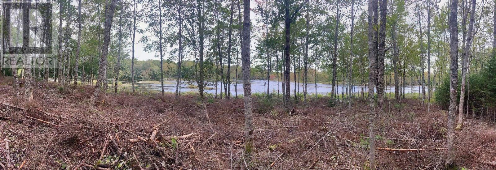 Lot 29 Salmon Run Road, Newburne, Nova Scotia  B0J 2E0 - Photo 15 - 202601897