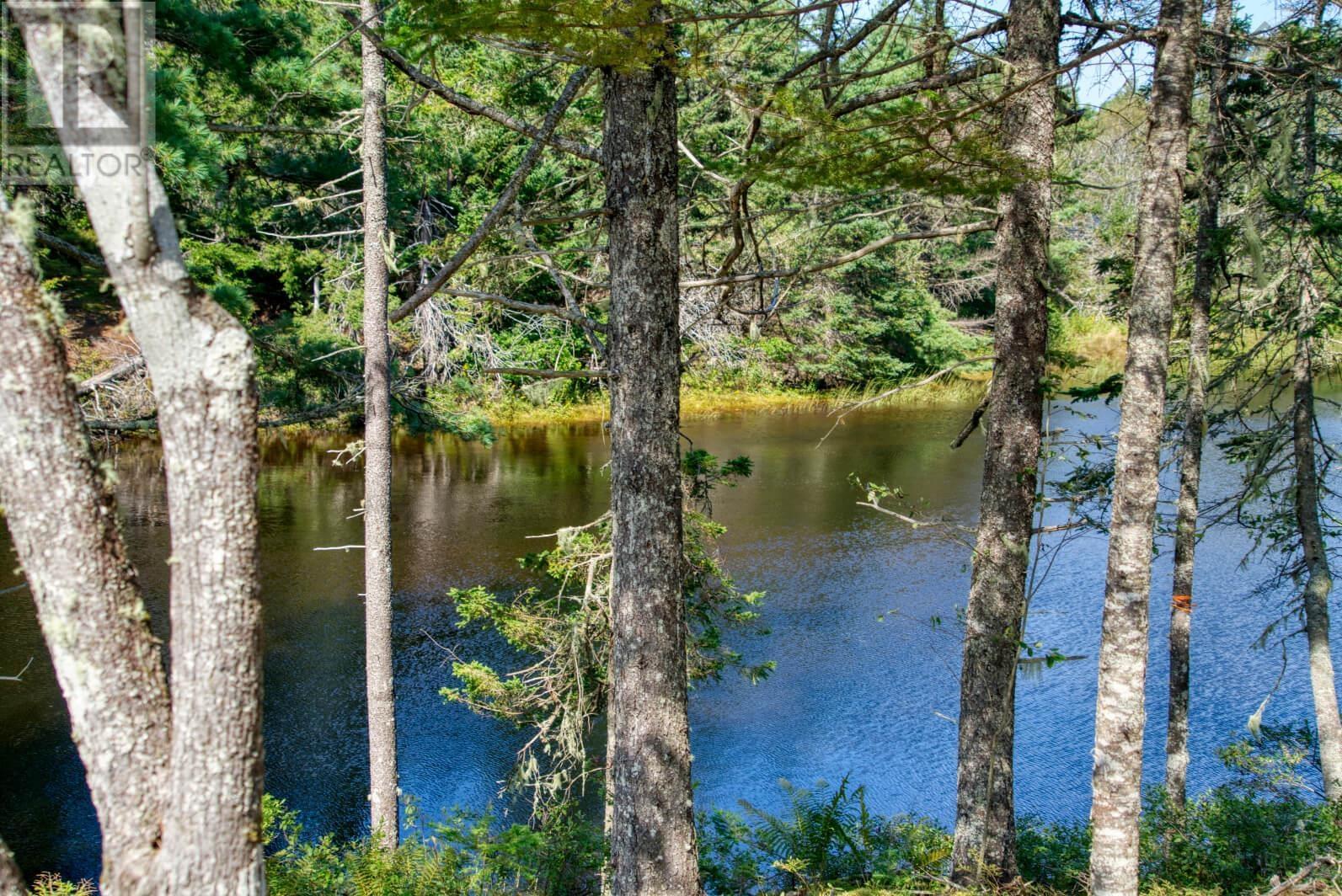 Lot 5 Cooks Brook, Bayport, Nova Scotia  B0J 2C0 - Photo 20 - 202601189