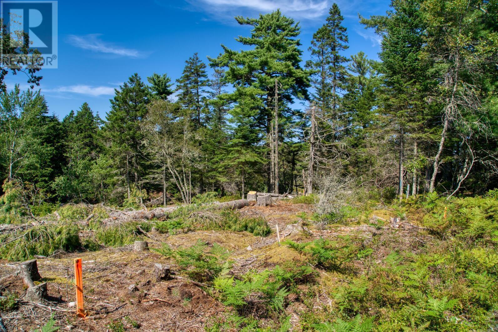 Lot 5 Cooks Brook, Bayport, Nova Scotia  B0J 2C0 - Photo 29 - 202601189