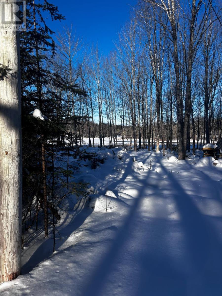 Lot 29 Salmon Run Road, Newburne, Nova Scotia  B0J 2E0 - Photo 8 - 202601897