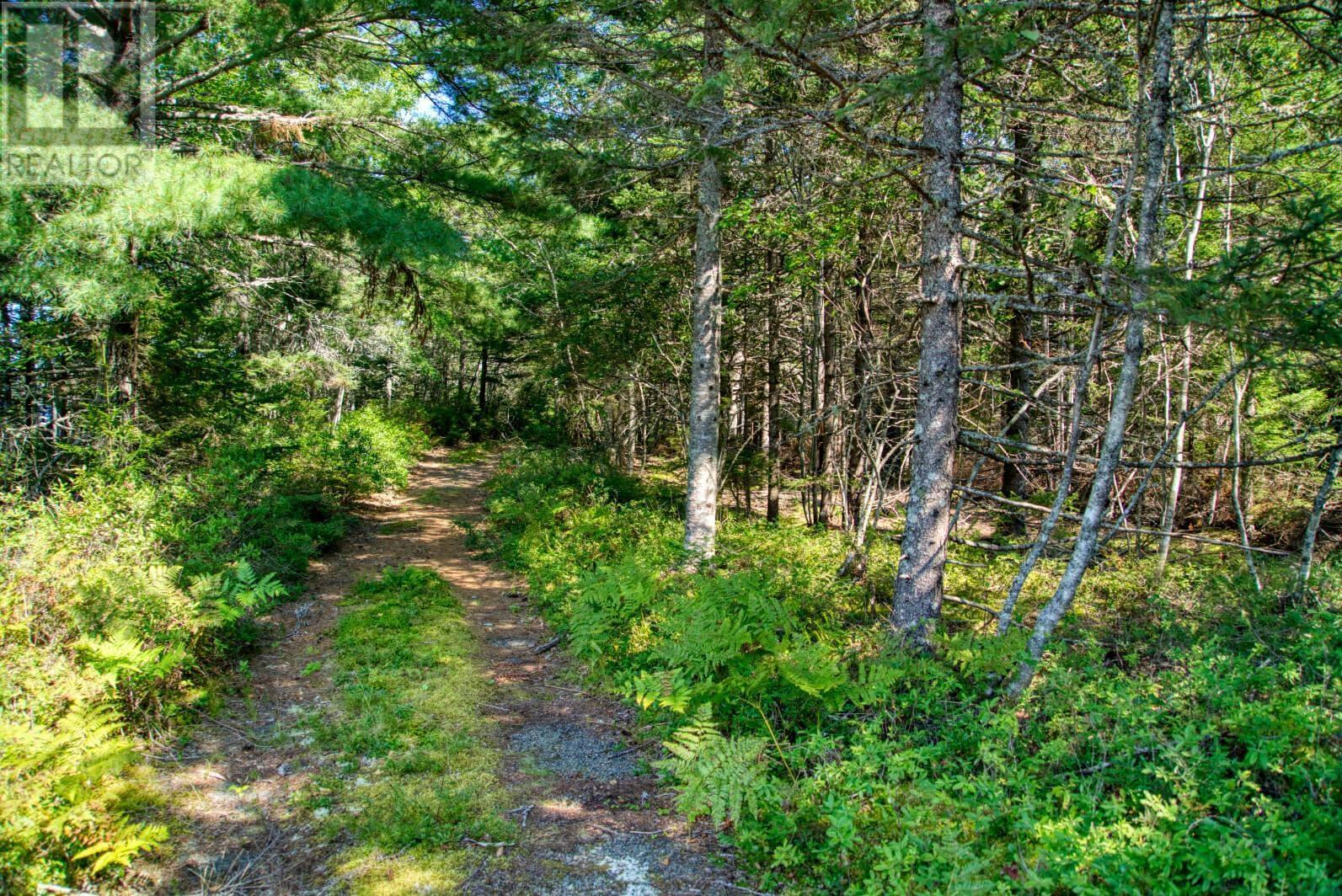 Lot 5 Cooks Brook, Bayport, Nova Scotia  B0J 2C0 - Photo 18 - 202601189