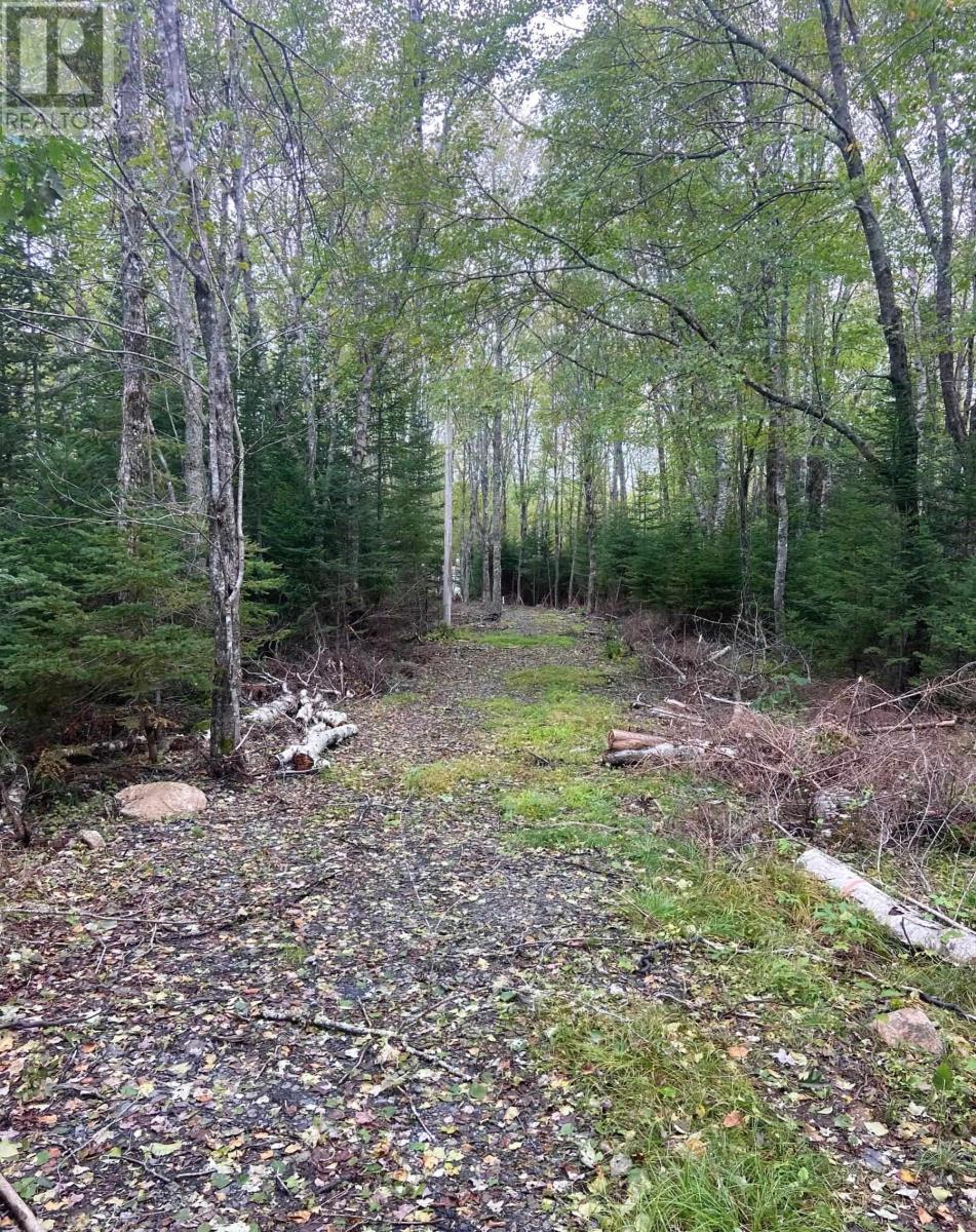 Lot 29 Salmon Run Road, Newburne, Nova Scotia  B0J 2E0 - Photo 4 - 202601897