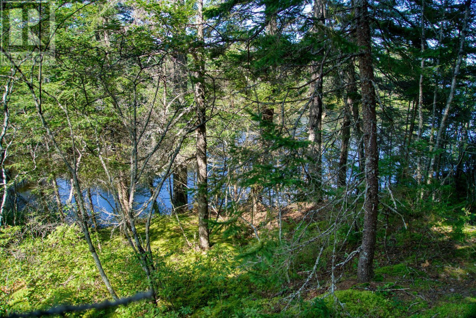 Lot 5 Cooks Brook, Bayport, Nova Scotia  B0J 2C0 - Photo 26 - 202601189