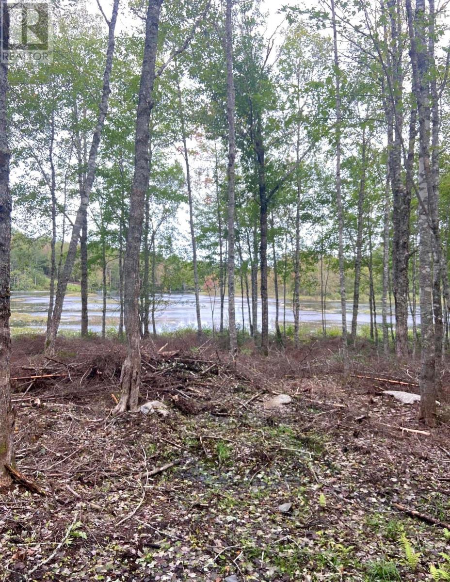 Lot 29 Salmon Run Road, Newburne, Nova Scotia  B0J 2E0 - Photo 14 - 202601897