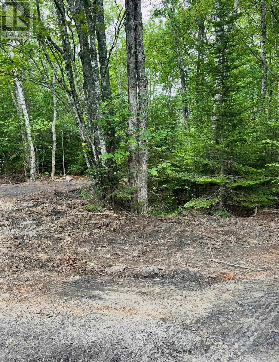 Lot 29 Salmon Run Road, Newburne, Nova Scotia  B0J 2E0 - Photo 5 - 202601897