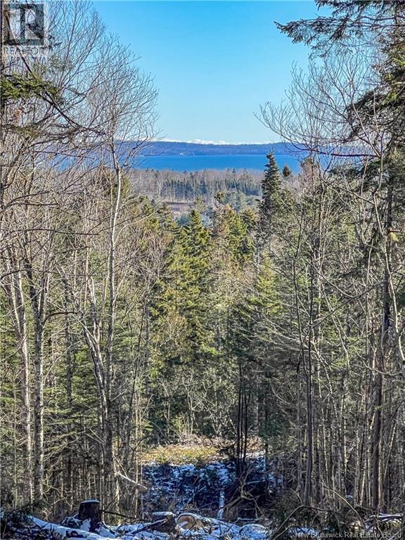 Land Chamcook Lake No. 1 Road, Chamcook, New Brunswick  E5B 2Z4 - Photo 1 - NB132987