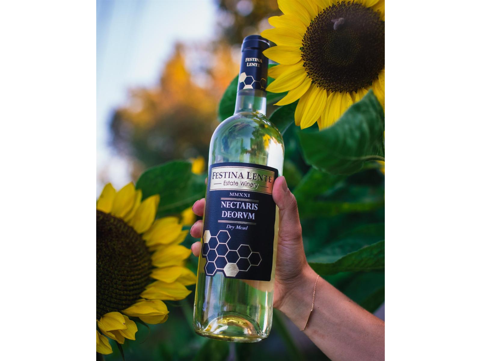 21113 16 Avenue, Langley, British Columbia  V2Z 1K3 - Photo 11 - R3085241