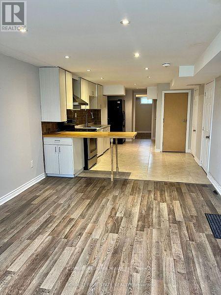 Bsmt - 43 Woodlawn Avenue, Brantford, Ontario  N3V 1A6 - Photo 4 - X12750562