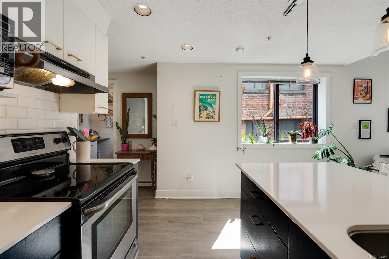 307 555 Chatham St, Victoria, British Columbia  V8T 1E1 - Photo 11 - 1024858