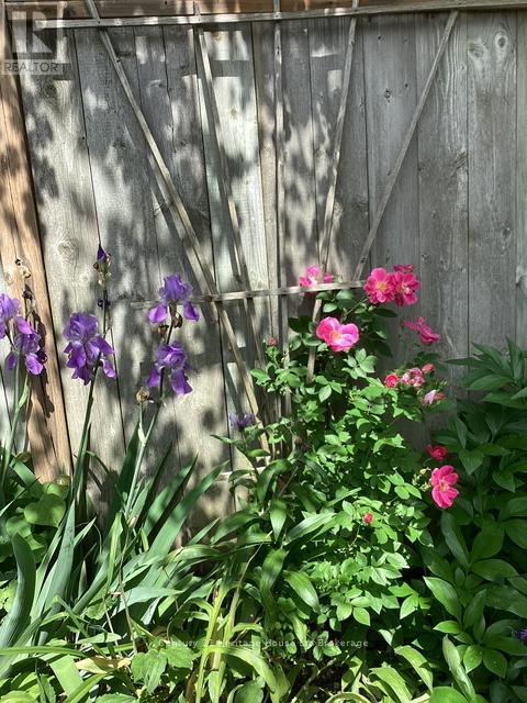 11 John Davies Drive, Woodstock, Ontario  N4T 1M9 - Photo 33 - X12750700