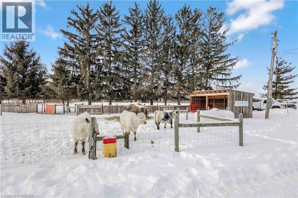1307 Concession 3 Road, Townsend, Ontario  N0E 1Z0 - Photo 37 - 40802359