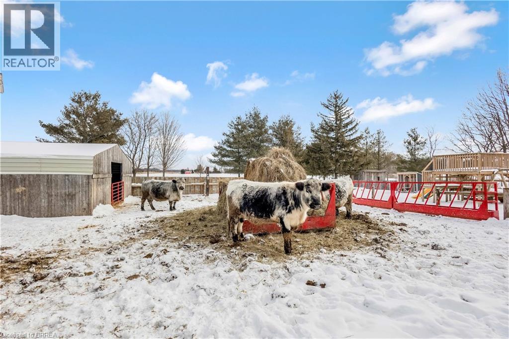 1307 Concession 3 Road, Townsend, Ontario  N0E 1Z0 - Photo 39 - 40802359