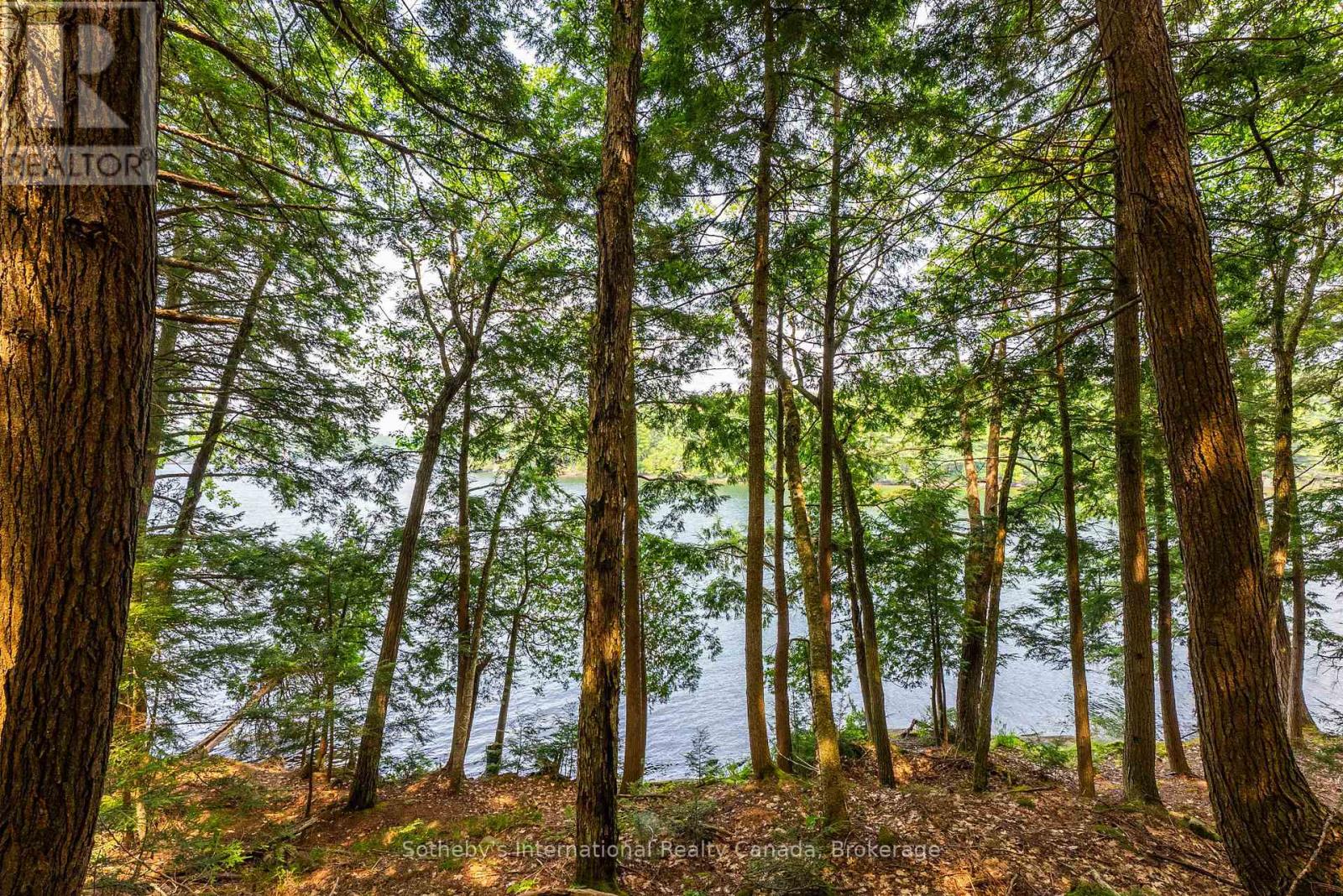 Lot C - 364 Stanley House Road, Seguin, Ontario  P0C 1J0 - Photo 24 - X12750790