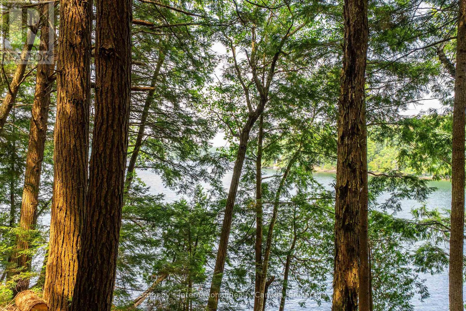 Lot C - 364 Stanley House Road, Seguin, Ontario  P0C 1J0 - Photo 25 - X12750790