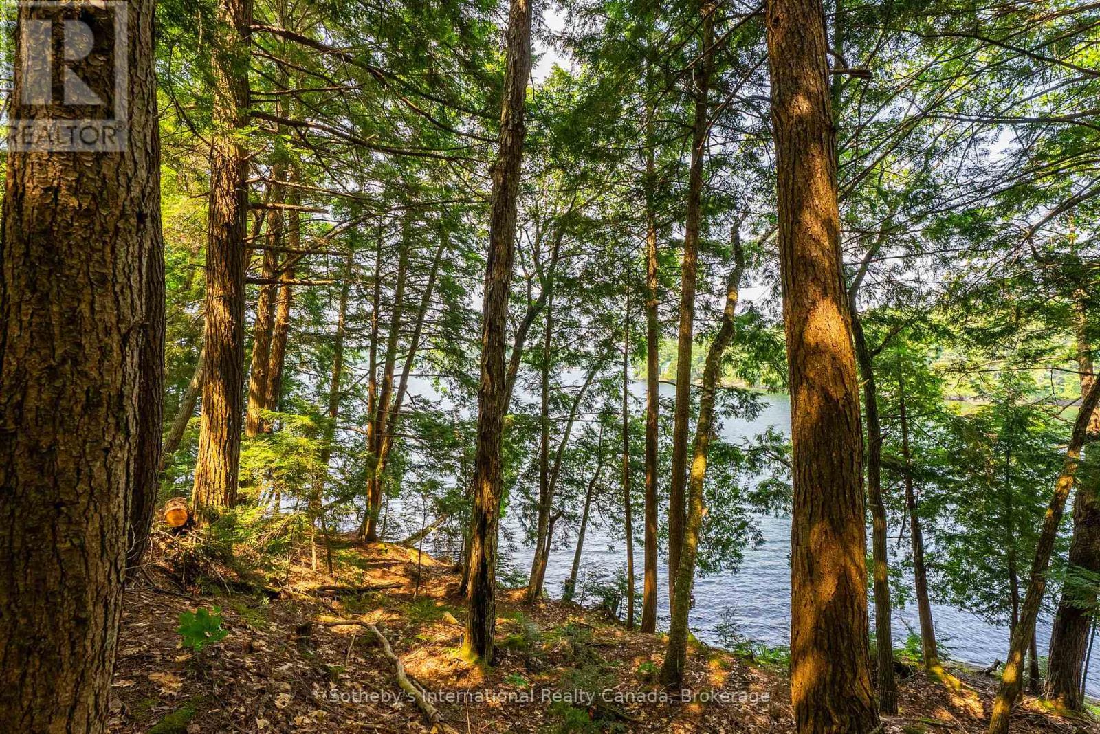 Lot C - 364 Stanley House Road, Seguin, Ontario  P0C 1J0 - Photo 32 - X12750790