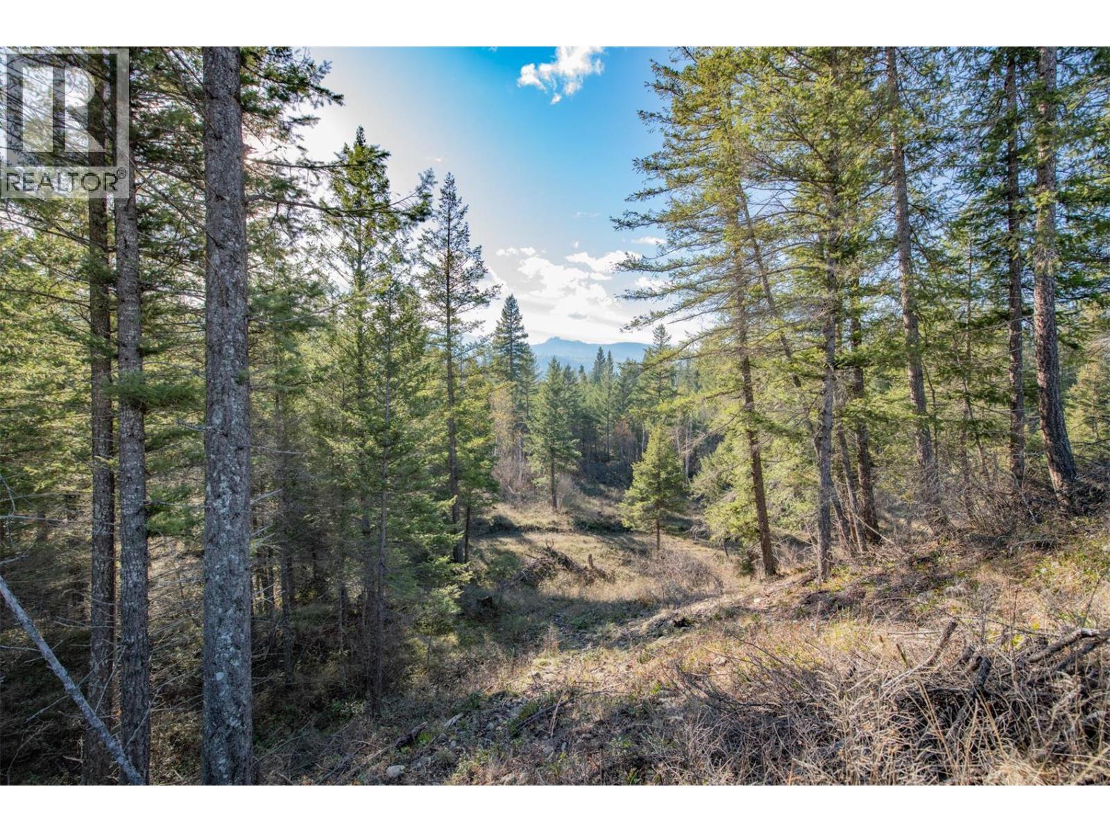 370 Charles Road, Cherryville, British Columbia  V0E 2G3 - Photo 10 - 10374310