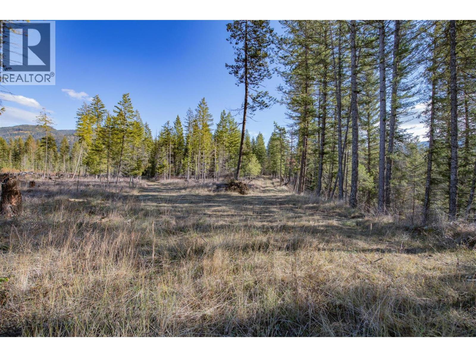 370 Charles Road, Cherryville, British Columbia  V0E 2G3 - Photo 11 - 10374310