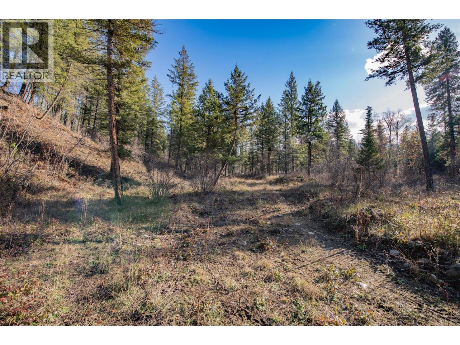 370 Charles Road, Cherryville, British Columbia  V0E 2G3 - Photo 12 - 10374310