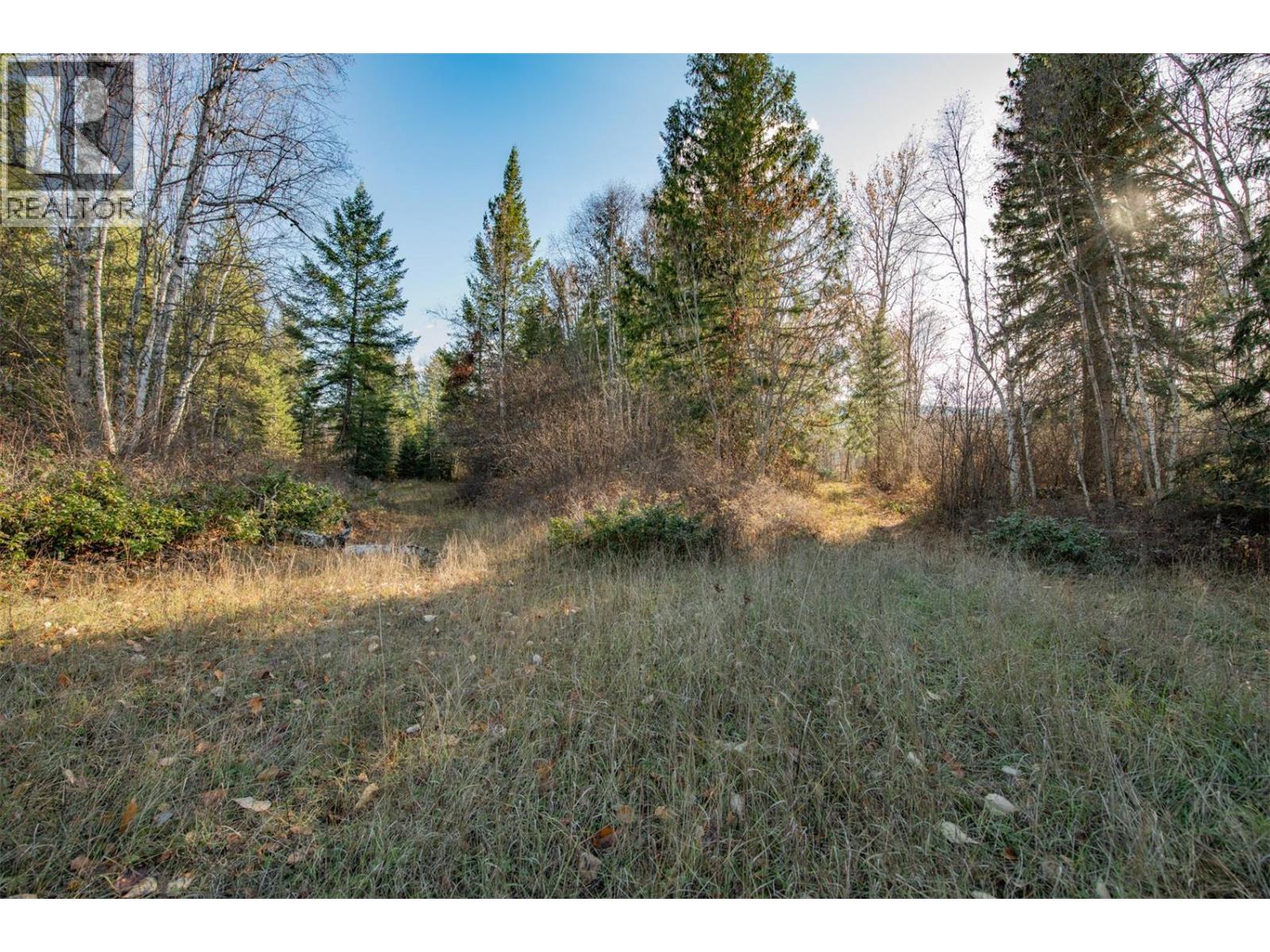 370 Charles Road, Cherryville, British Columbia  V0E 2G3 - Photo 16 - 10374310