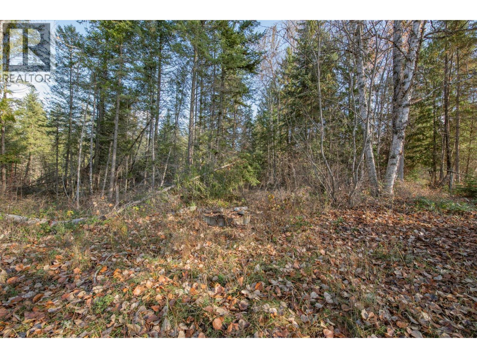 370 Charles Road, Cherryville, British Columbia  V0E 2G3 - Photo 17 - 10374310