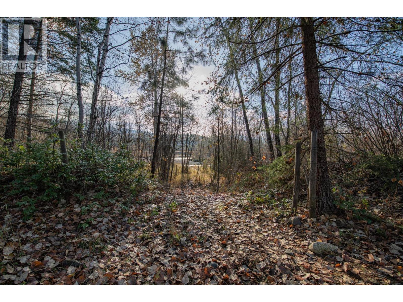 370 Charles Road, Cherryville, British Columbia  V0E 2G3 - Photo 18 - 10374310