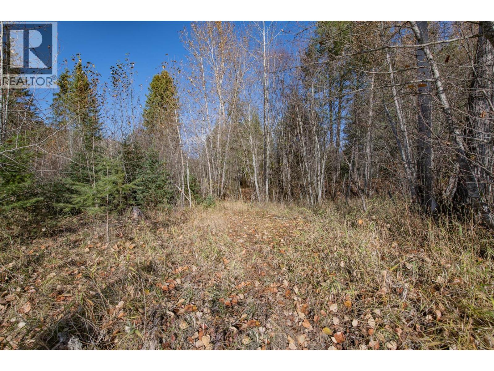 370 Charles Road, Cherryville, British Columbia  V0E 2G3 - Photo 20 - 10374310