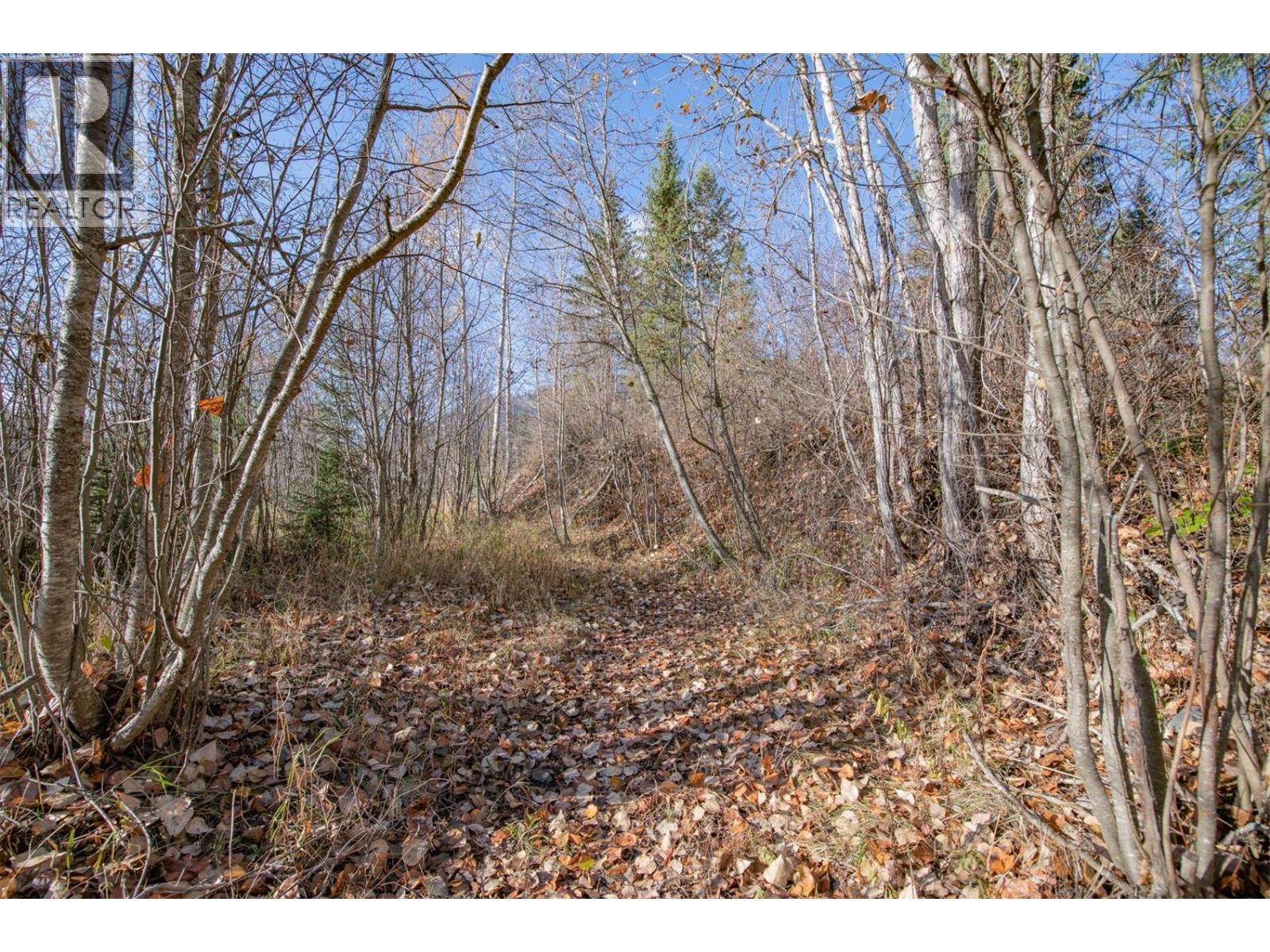 370 Charles Road, Cherryville, British Columbia  V0E 2G3 - Photo 21 - 10374310